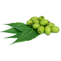 1585313263-shilajitLanding